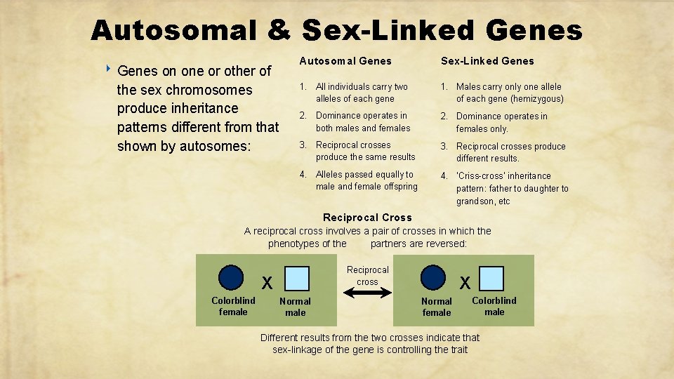 Autosomal & Sex-Linked Genes ‣ Genes on one or other of the sex chromosomes