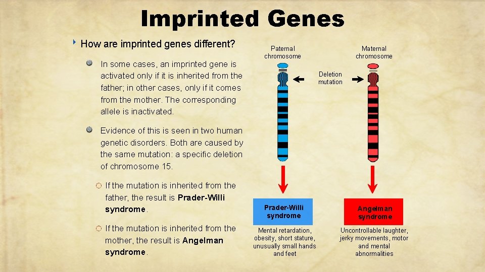 Imprinted Genes ‣ How are imprinted genes different? In some cases, an imprinted gene