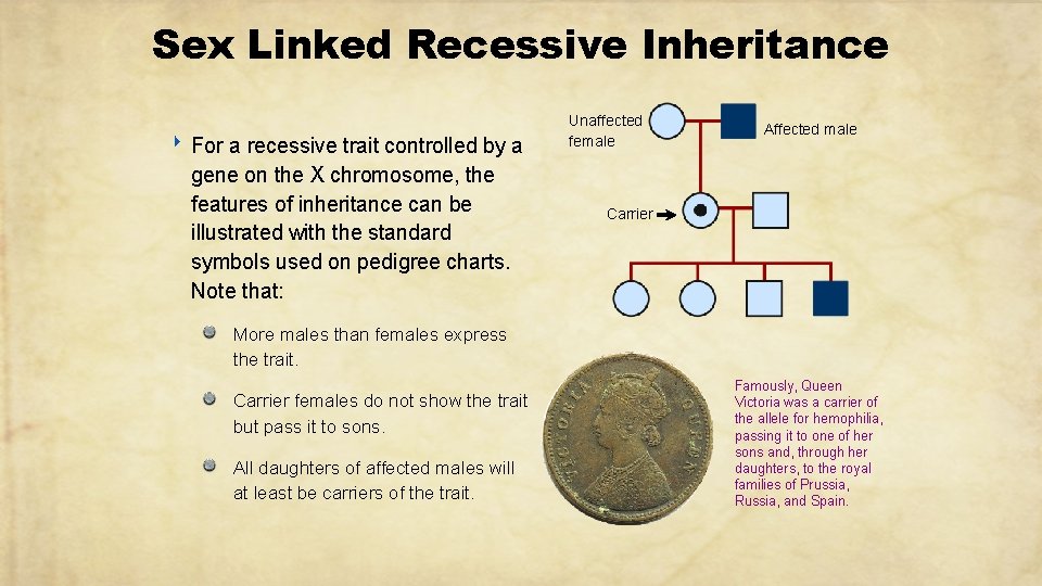 Sex Linked Recessive Inheritance ‣ For a recessive trait controlled by a gene on