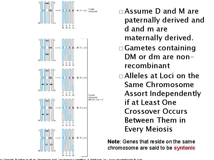 � Assume D and M are paternally derived and m are maternally derived. �