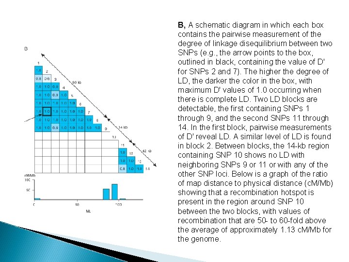 B, A schematic diagram in which each box contains the pairwise measurement of the B, A schematic diagram in which each box contains the pairwise measurement of the