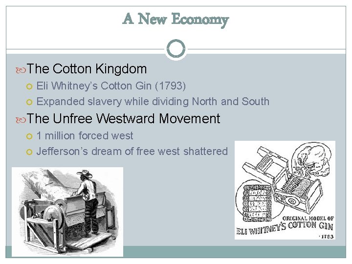 A New Economy The Cotton Kingdom Eli Whitney’s Cotton Gin (1793) Expanded slavery while