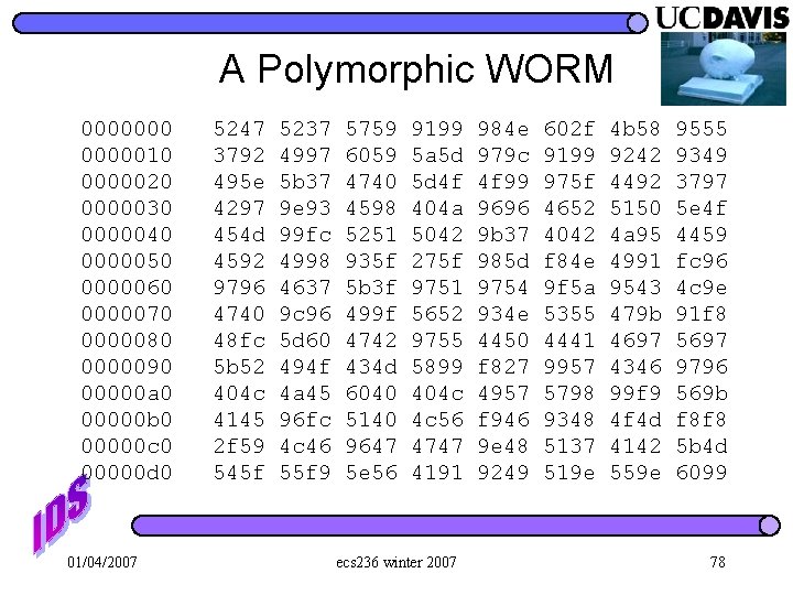 A Polymorphic WORM 000000010 0000020 0000030 0000040 0000050 0000060 0000070 0000080 0000090 00000 a