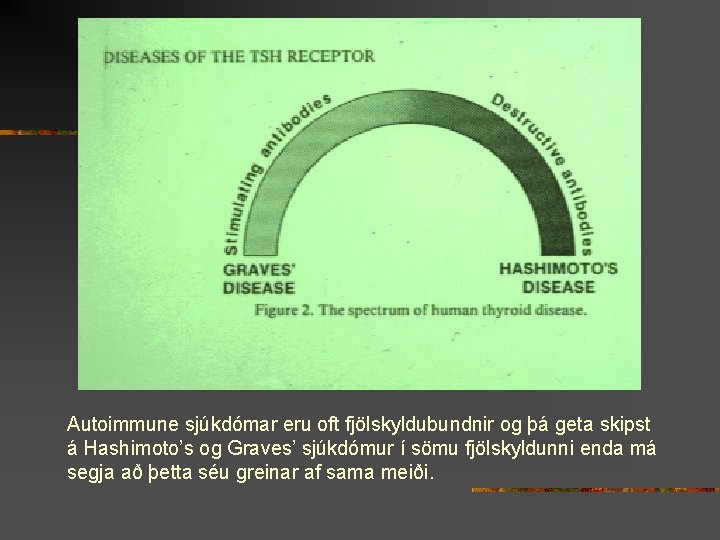 Autoimmune sjúkdómar eru oft fjölskyldubundnir og þá geta skipst á Hashimoto’s og Graves’ sjúkdómur