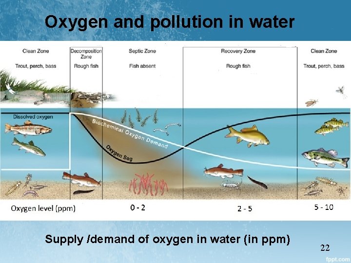Oxygen and pollution in water Supply /demand of oxygen in water (in ppm) 22