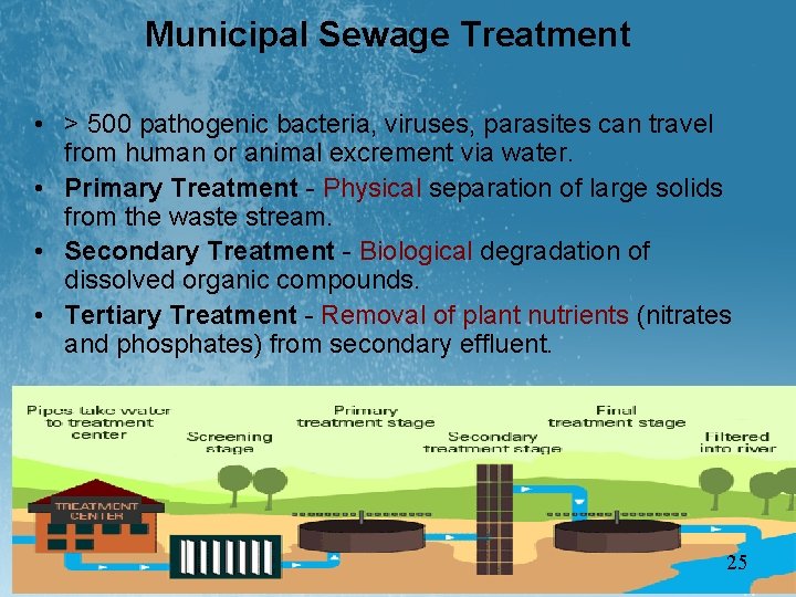 Municipal Sewage Treatment • > 500 pathogenic bacteria, viruses, parasites can travel from human