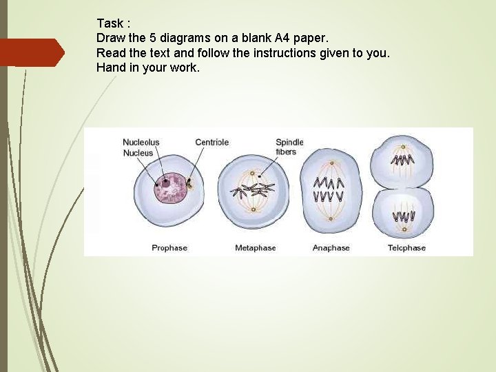 Task : Draw the 5 diagrams on a blank A 4 paper. Read the Task : Draw the 5 diagrams on a blank A 4 paper. Read the