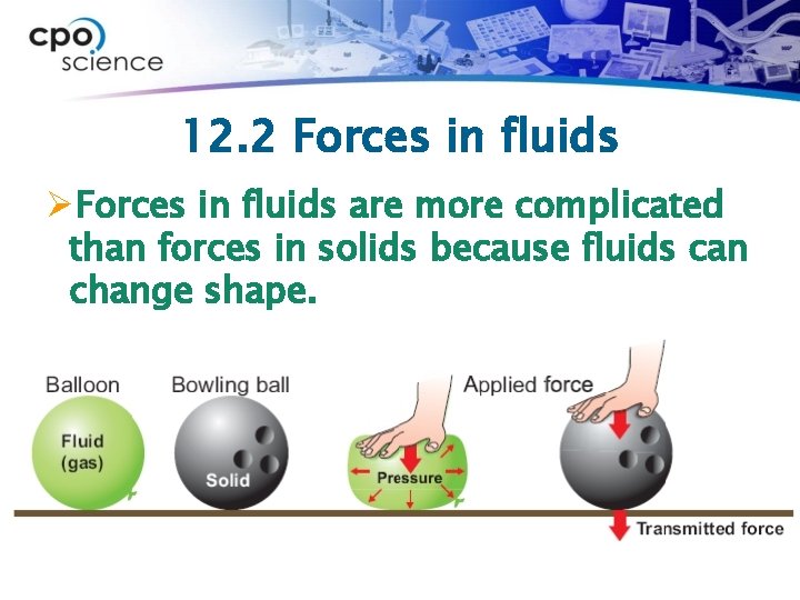 12. 2 Forces in fluids ØForces in fluids are more complicated than forces in