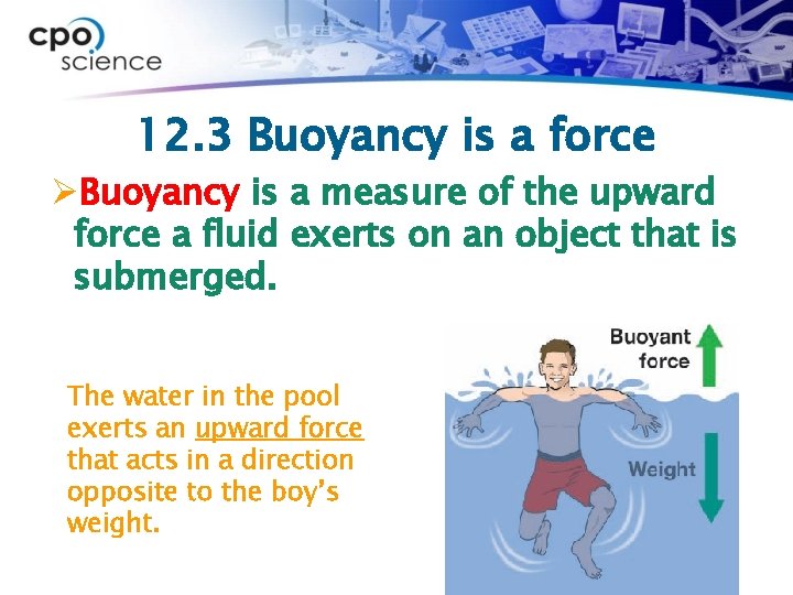 12. 3 Buoyancy is a force ØBuoyancy is a measure of the upward force