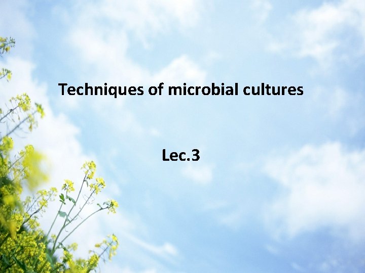 Techniques of microbial cultures Lec. 3 