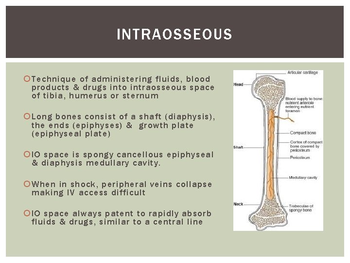 INTRAOSSEOUS Technique of administering fluids, blood products & drugs into intraosseous space of tibia,