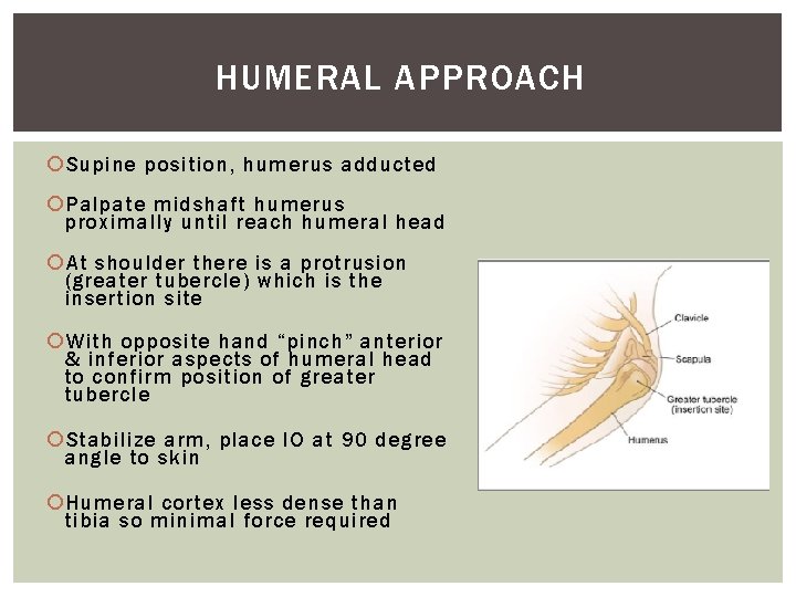 HUMERAL APPROACH Supine position, humerus adducted Palpate midshaft humerus proximally until reach humeral head