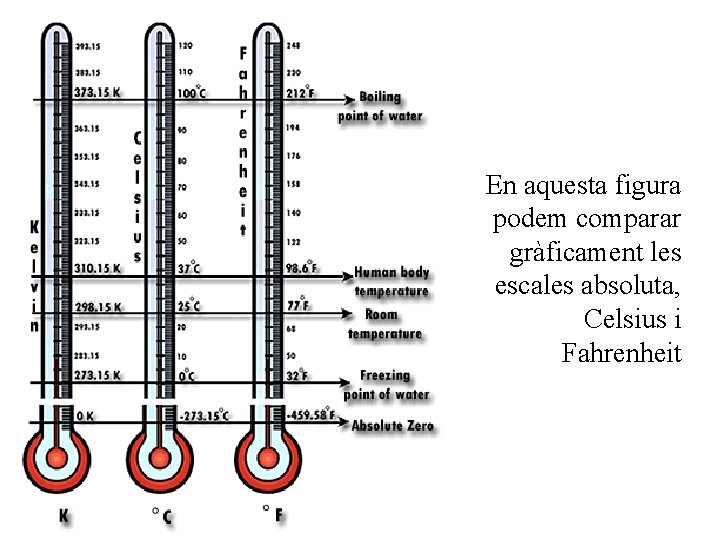 En aquesta figura podem comparar gràficament les escales absoluta, Celsius i Fahrenheit 