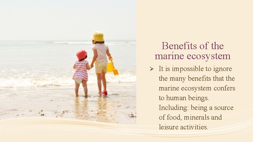 Benefits of the marine ecosystem Ø It is impossible to ignore the many benefits