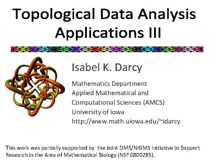 Isabel K. Darcy Mathematics Department Applied Mathematical and Computational Sciences (AMCS) University of Iowa