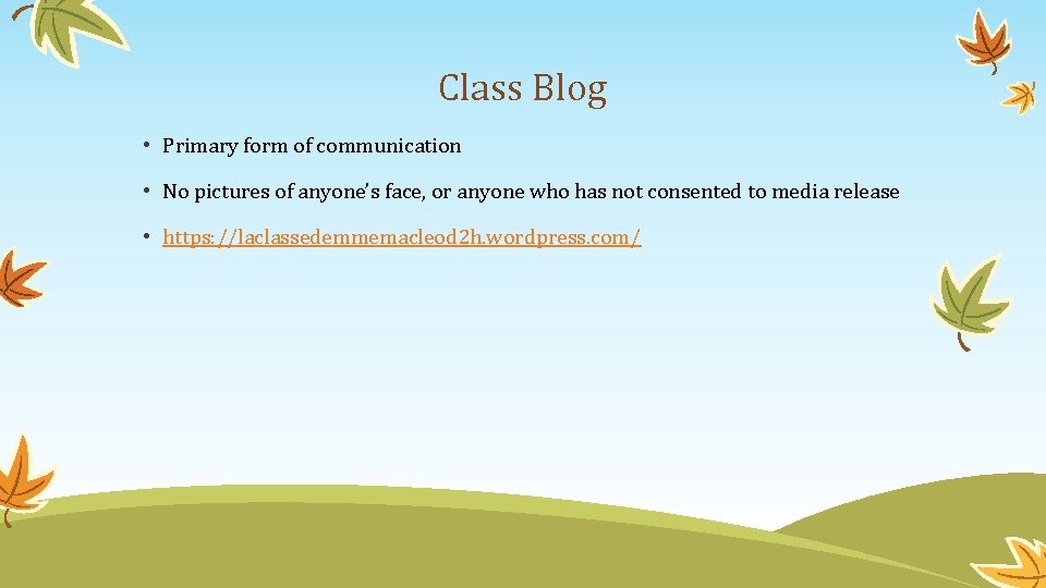 Class Blog • Primary form of communication • No pictures of anyone’s face, or