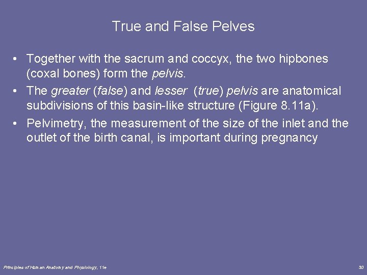 True and False Pelves • Together with the sacrum and coccyx, the two hipbones