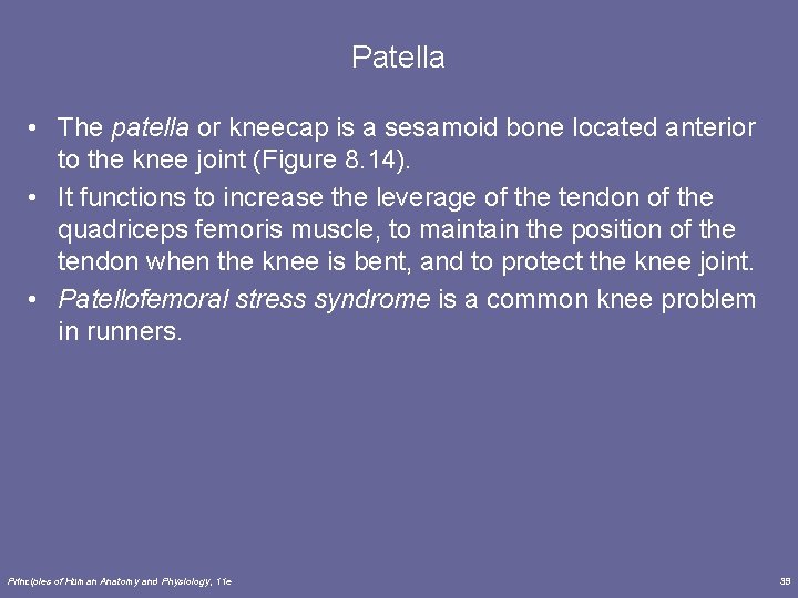 Patella • The patella or kneecap is a sesamoid bone located anterior to the