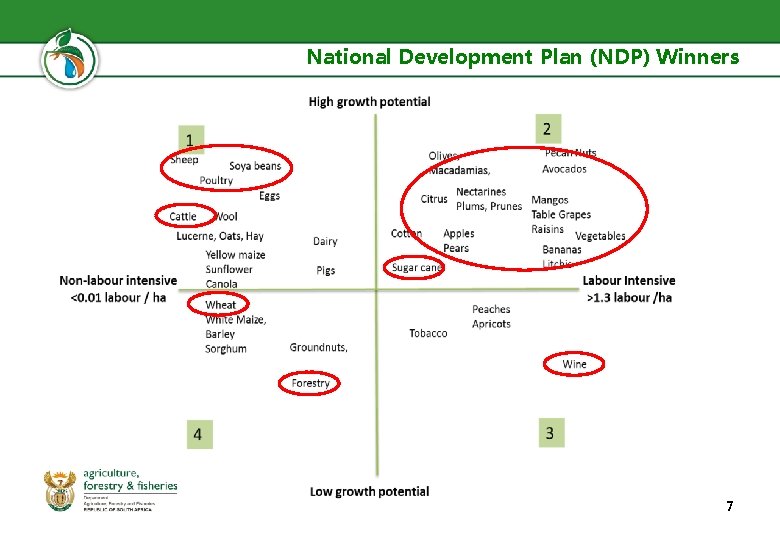 National Development Plan (NDP) Winners 7 