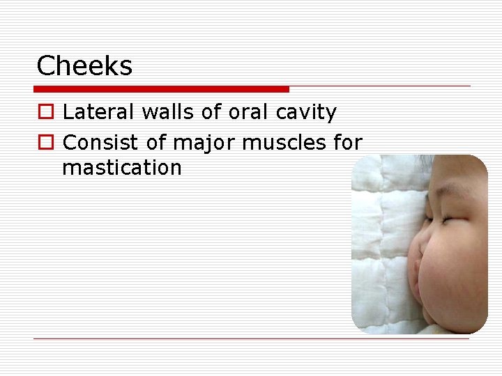 Cheeks o Lateral walls of oral cavity o Consist of major muscles for mastication