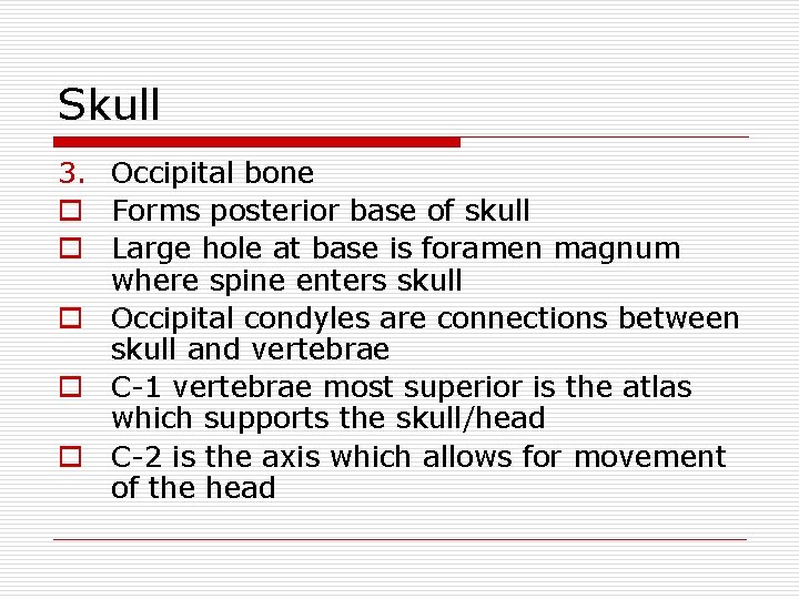 Skull 3. Occipital bone o Forms posterior base of skull o Large hole at