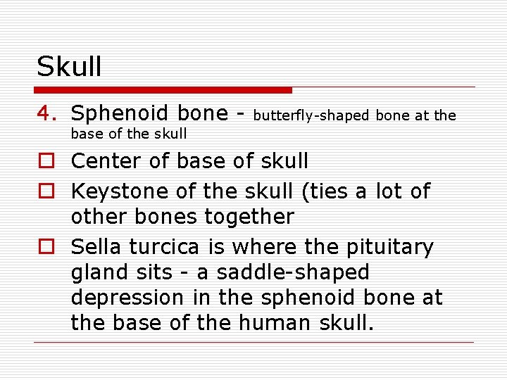 Skull 4. Sphenoid bone - butterfly-shaped bone at the base of the skull o
