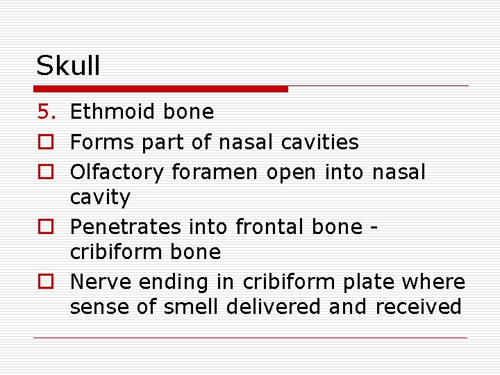 Skull 5. Ethmoid bone o Forms part of nasal cavities o Olfactory foramen open