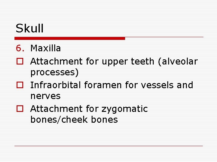 Skull 6. Maxilla o Attachment for upper teeth (alveolar processes) o Infraorbital foramen for