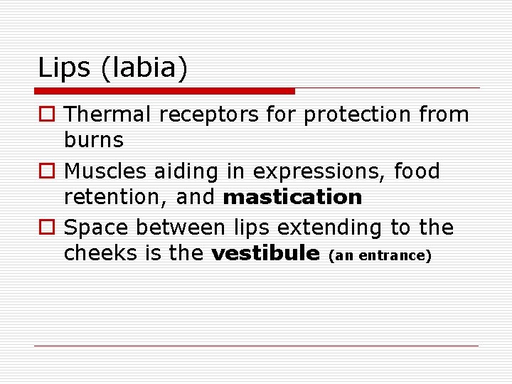 Lips (labia) o Thermal receptors for protection from burns o Muscles aiding in expressions,