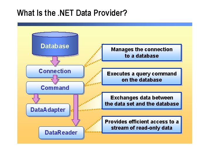 What Is the. NET Data Provider? Database Connection Manages the connection to a database