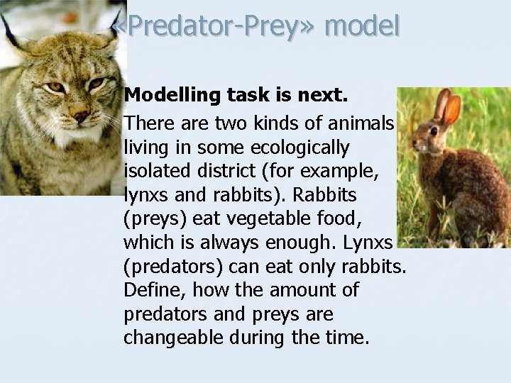 «Predator-Prey» model Modelling task is next. There are two kinds of animals living