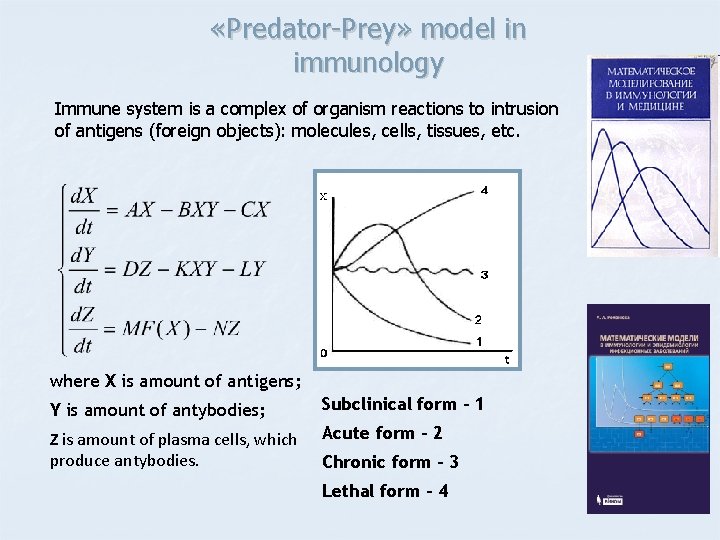  «Predator-Prey» model in immunology Immune system is a complex of organism reactions to