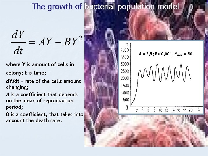 The growth of bacterial population model А = 2, 5; В= 0, 001; Yнач.