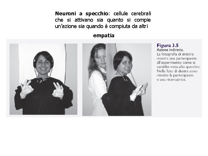 Neuroni a specchio: cellule cerebrali che si attivano sia quanto si compie un’azione sia