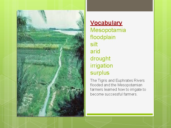 Vocabulary Mesopotamia floodplain silt arid drought irrigation surplus The Tigris and Euphrates Rivers flooded