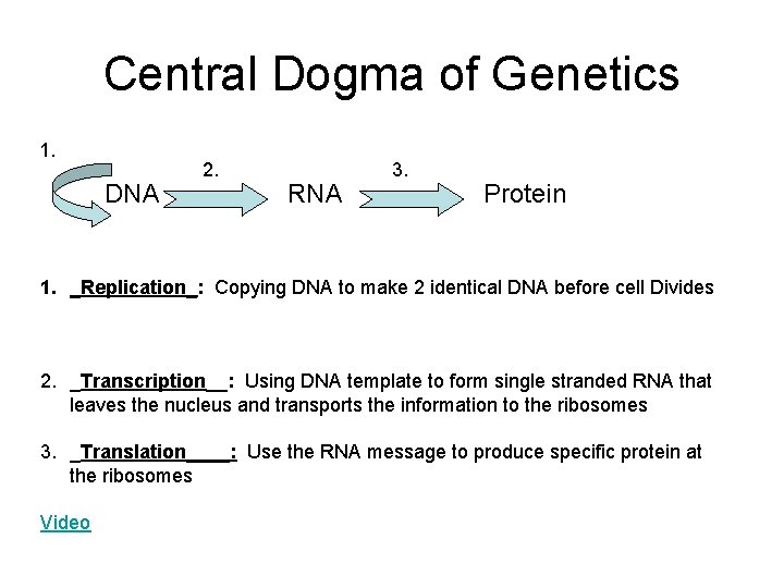 Central Dogma of Genetics 1. DNA 2. RNA 3. Protein 1. _Replication_: Copying DNA