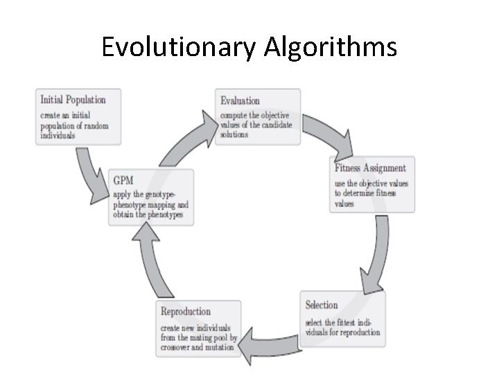 Evolutionary Algorithms 