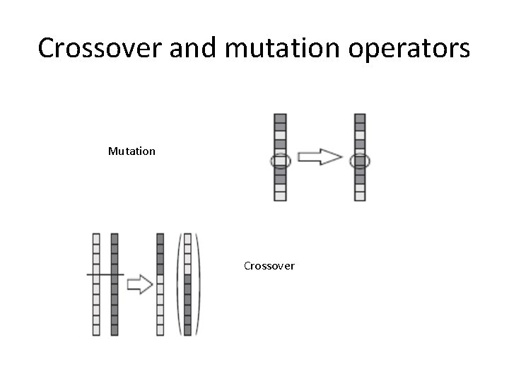 Crossover and mutation operators Mutation Crossover 