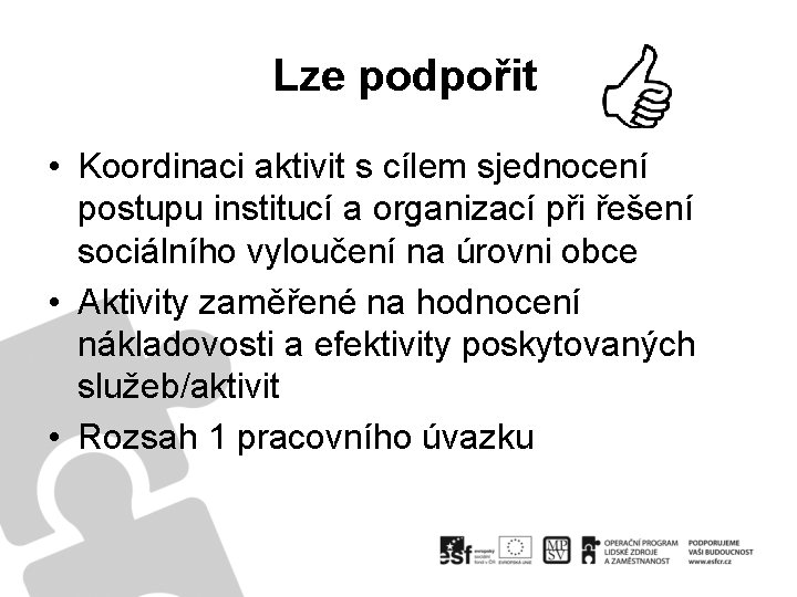 Lze podpořit • Koordinaci aktivit s cílem sjednocení postupu institucí a organizací při řešení