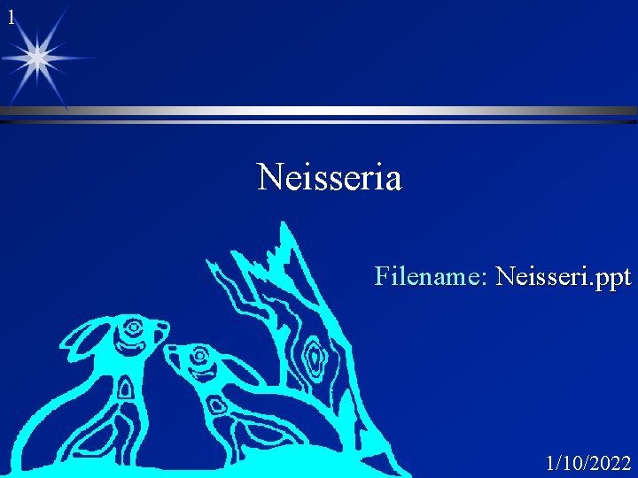 1 Neisseria Filename: Neisseri. ppt 1/10/2022 1 Neisseria Filename: Neisseri. ppt 1/10/2022