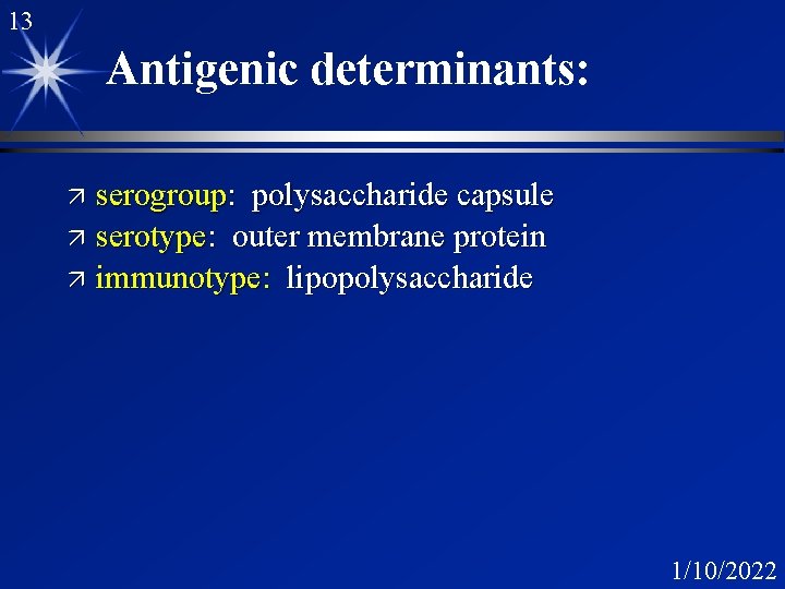 13 Antigenic determinants: serogroup: polysaccharide capsule ä serotype: outer membrane protein ä immunotype: lipopolysaccharide 13 Antigenic determinants: serogroup: polysaccharide capsule ä serotype: outer membrane protein ä immunotype: lipopolysaccharide