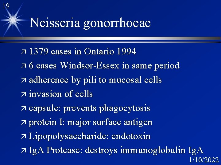 19 Neisseria gonorrhoeae ä 1379 cases in Ontario 1994 ä 6 cases Windsor-Essex in 19 Neisseria gonorrhoeae ä 1379 cases in Ontario 1994 ä 6 cases Windsor-Essex in