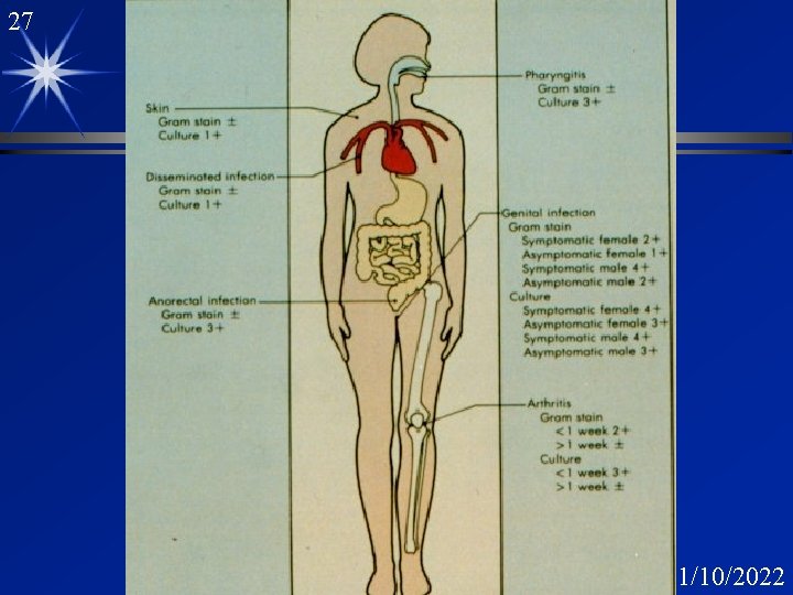 27 1/10/2022 27 1/10/2022