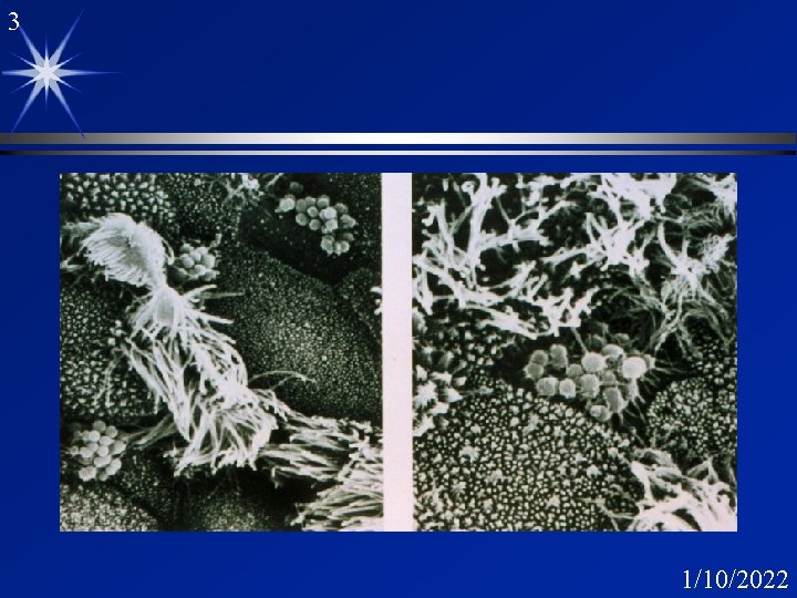 3 1/10/2022 3 1/10/2022