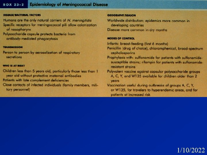 31 1/10/2022 31 1/10/2022