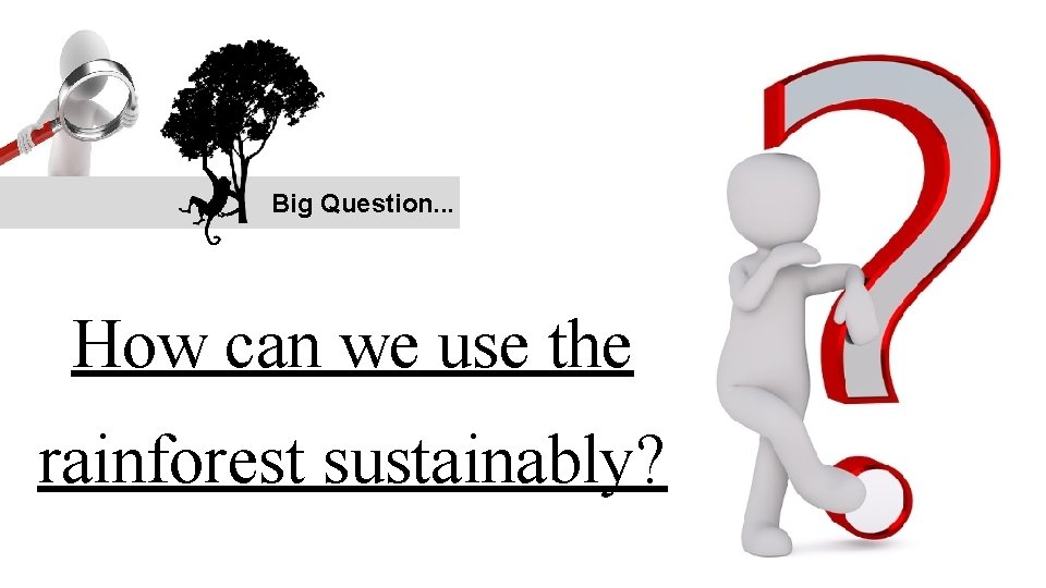 Big Question. . . How can we use the rainforest sustainably? 