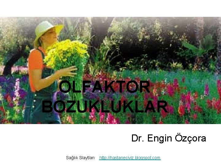 OLFAKTOR BOZUKLUKLAR Dr. Engin Özçora Sağlık Slaytları http: //hastaneciyiz. blogspot. com 