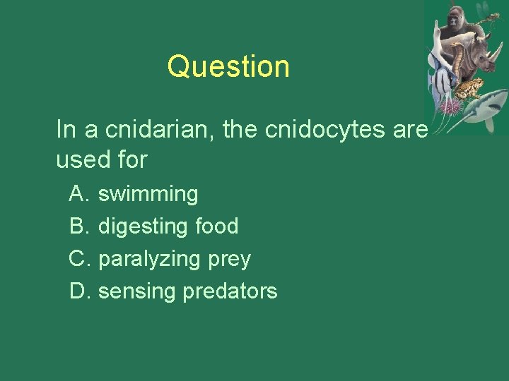 Question In a cnidarian, the cnidocytes are used for A. swimming B. digesting food