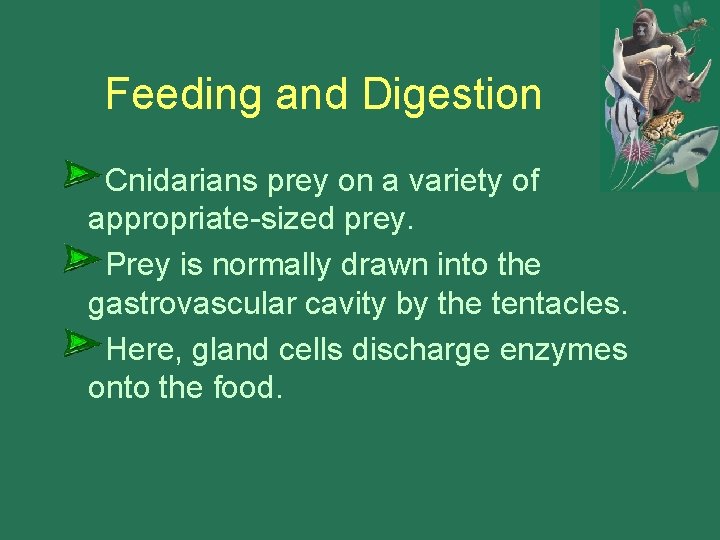 Feeding and Digestion Cnidarians prey on a variety of appropriate-sized prey. Prey is normally