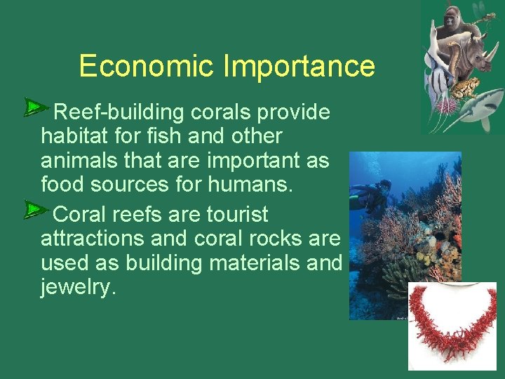 Economic Importance Reef-building corals provide habitat for fish and other animals that are important